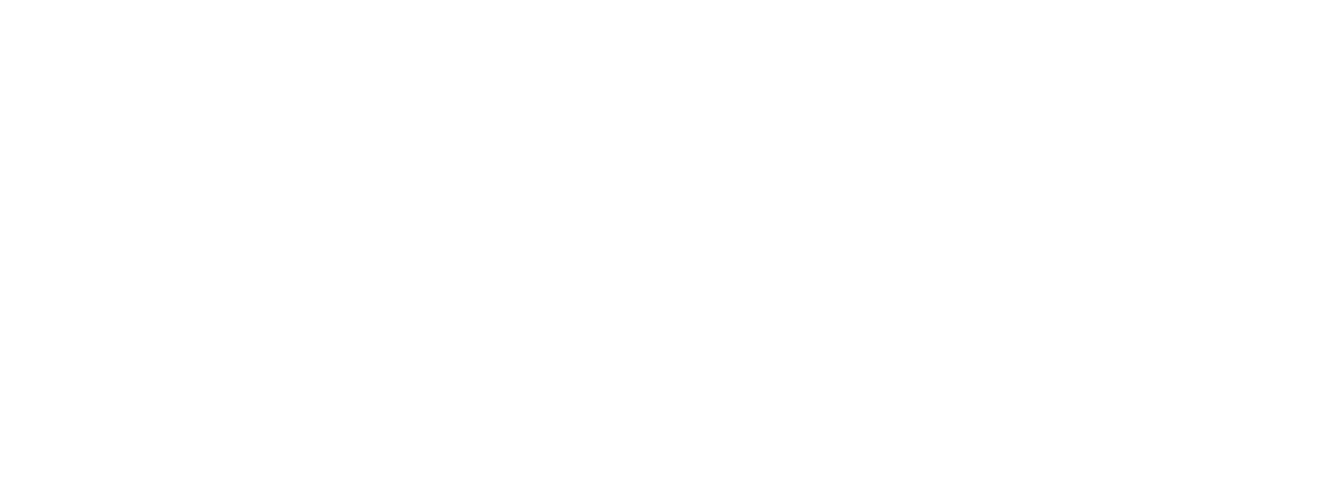 Daily Dispatch Logo